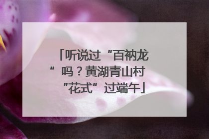 听说过“百衲龙”吗？黄湖青山村“花式”过端午