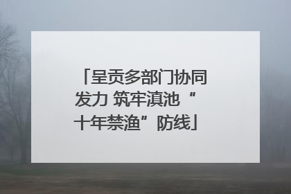 呈贡多部门协同发力 筑牢滇池“十年禁渔”防线