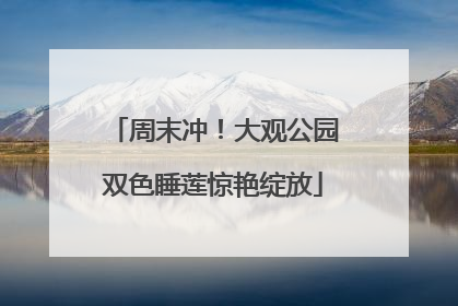 周末冲！大观公园双色睡莲惊艳绽放
