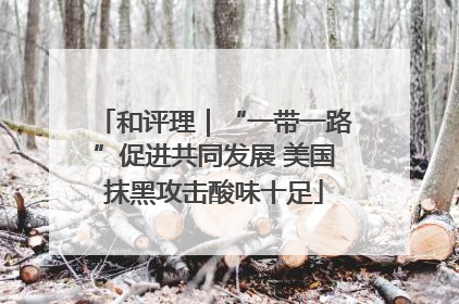 和评理｜“一带一路”促进共同发展 美国抹黑攻击酸味十足