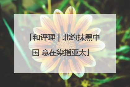 和评理｜北约抹黑中国 意在染指亚太