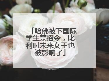 哈佛被下国际学生禁招令，比利时未来女王也被影响了
