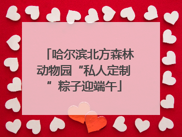 哈尔滨北方森林动物园“私人定制”粽子迎端午