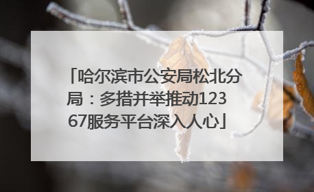 哈尔滨市公安局松北分局：多措并举推动12367服务平台深入人心