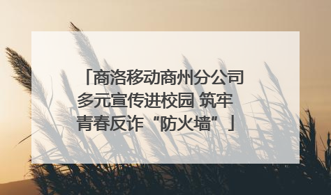 商洛移动商州分公司多元宣传进校园 筑牢青春反诈“防火墙”