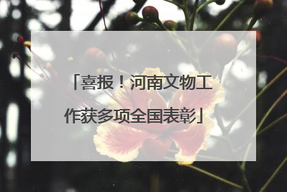喜报！河南文物工作获多项全国表彰