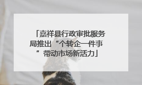 嘉祥县行政审批服务局推出“个转企一件事”带动市场新活力