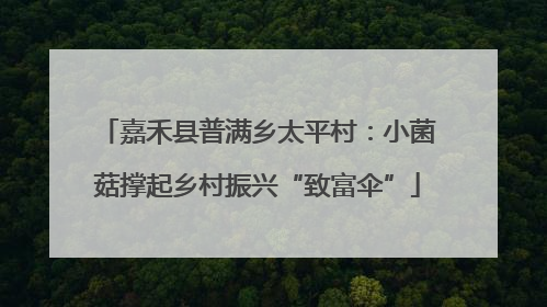 嘉禾县普满乡太平村：小菌菇撑起乡村振兴“致富伞”