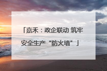 嘉禾：政企联动 筑牢安全生产“防火墙”