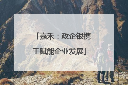 嘉禾：政企银携手赋能企业发展