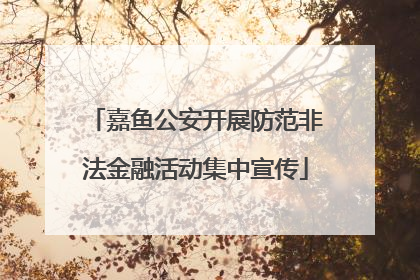 嘉鱼公安开展防范非法金融活动集中宣传