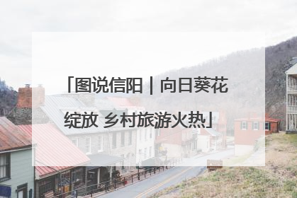 图说信阳｜向日葵花绽放 乡村旅游火热