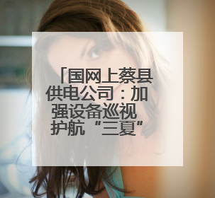 国网上蔡县供电公司：加强设备巡视 护航“三夏”生产