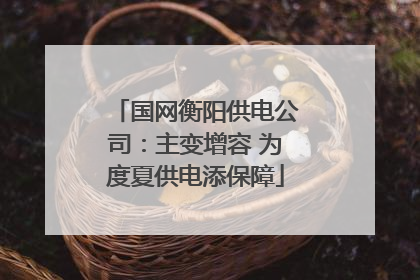 国网衡阳供电公司：主变增容 为度夏供电添保障