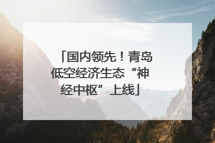 国内领先！青岛低空经济生态“神经中枢”上线