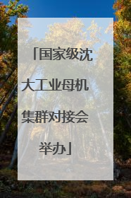 国家级沈大工业母机集群对接会举办