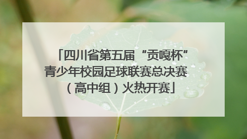 四川省第五届“贡嘎杯”青少年校园足球联赛总决赛（高中组）火热开赛