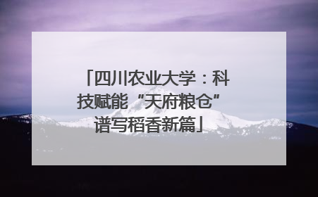 四川农业大学：科技赋能“天府粮仓”谱写稻香新篇