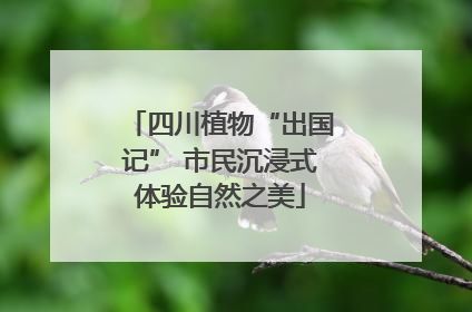 四川植物“出国记” 市民沉浸式体验自然之美