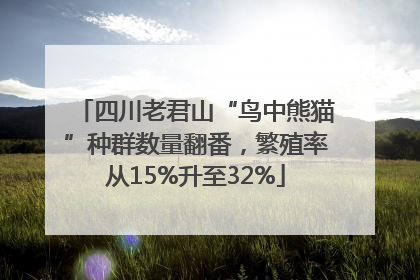 四川老君山“鸟中熊猫”种群数量翻番，繁殖率从15%升至32%