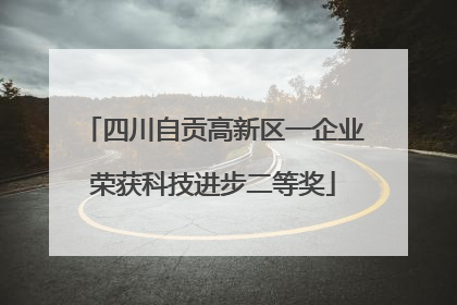 四川自贡高新区一企业荣获科技进步二等奖