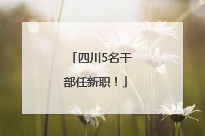四川5名干部任新职！