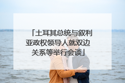 土耳其总统与叙利亚政权领导人就双边关系等举行会谈