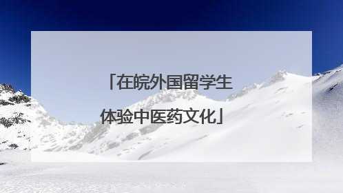 在皖外国留学生体验中医药文化