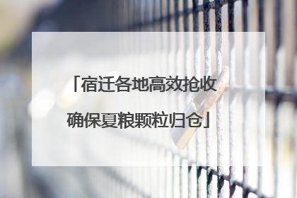宿迁各地高效抢收 确保夏粮颗粒归仓