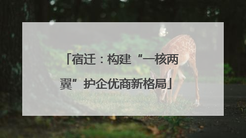宿迁：构建“一核两翼”护企优商新格局