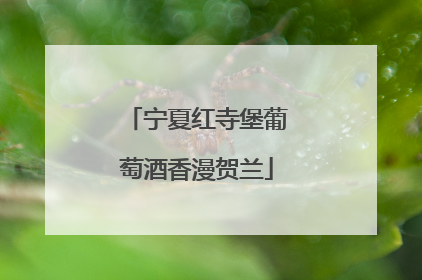 宁夏红寺堡葡萄酒香漫贺兰