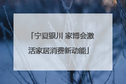 宁夏银川 家博会激活家居消费新动能