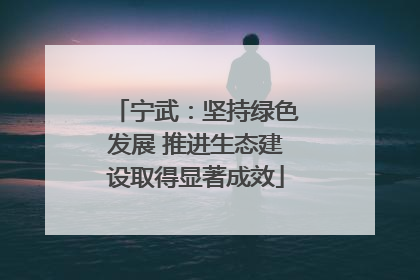 宁武：坚持绿色发展 推进生态建设取得显著成效
