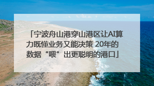 宁波舟山港穿山港区让AI算力既懂业务又能决策 20年的数据“喂”出更聪明的港口