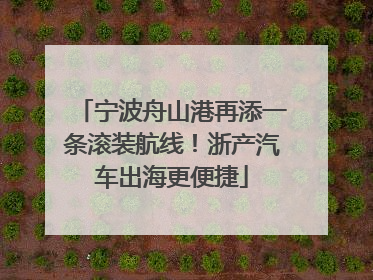 宁波舟山港再添一条滚装航线！浙产汽车出海更便捷