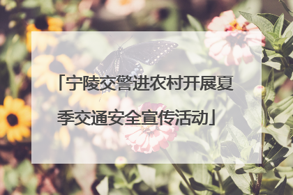 宁陵交警进农村开展夏季交通安全宣传活动