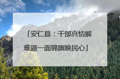 安仁县：干部真情解难题一面锦旗映民心