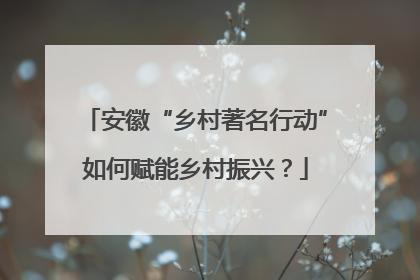 安徽“乡村著名行动”如何赋能乡村振兴？