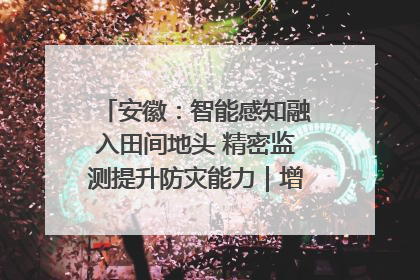 安徽：智能感知融入田间地头 精密监测提升防灾能力｜增发国债气象项目落地见效系列报道
