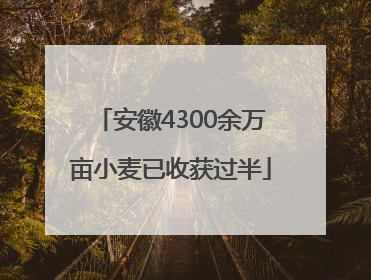 安徽4300余万亩小麦已收获过半