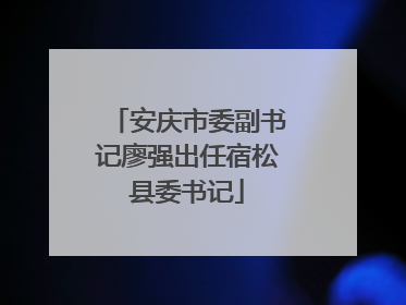 安庆市委副书记廖强出任宿松县委书记