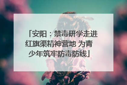 安阳：禁毒研学走进红旗渠精神营地 为青少年筑牢防毒防线