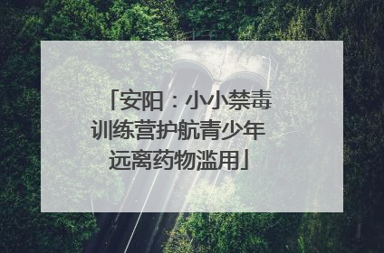 安阳：小小禁毒训练营护航青少年远离药物滥用