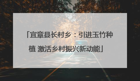 宜章县长村乡：引进玉竹种植 激活乡村振兴新动能