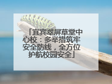 宜宾翠屏草堂中心校：多举措筑牢安全防线，全方位护航校园安全