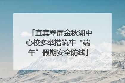 宜宾翠屏金秋湖中心校多举措筑牢“端午”假期安全防线