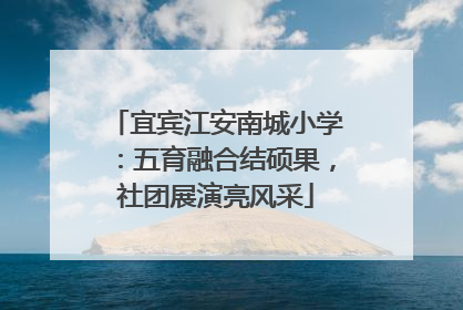 宜宾江安南城小学：五育融合结硕果，社团展演亮风采