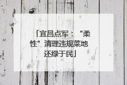 宜昌点军：“柔性”清理违规菜地 还绿于民