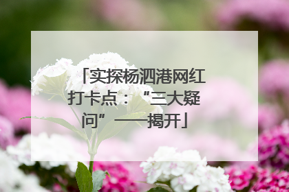 实探杨泗港网红打卡点：“三大疑问”一一揭开