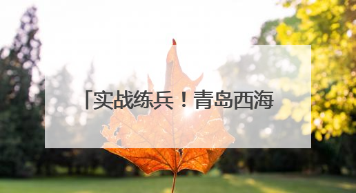 实战练兵！青岛西海岸新区开展2025年防汛救援应急演练，筑牢城市安全防线